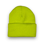 Carhartt Logo Beanie
