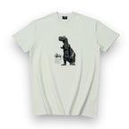 Stussy Big and Meaty T-shirt