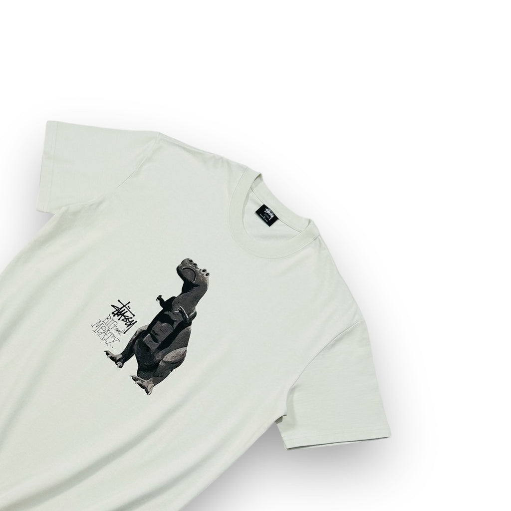 Stussy Big and Meaty T-shirt