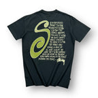 Stussy T-shirt Small