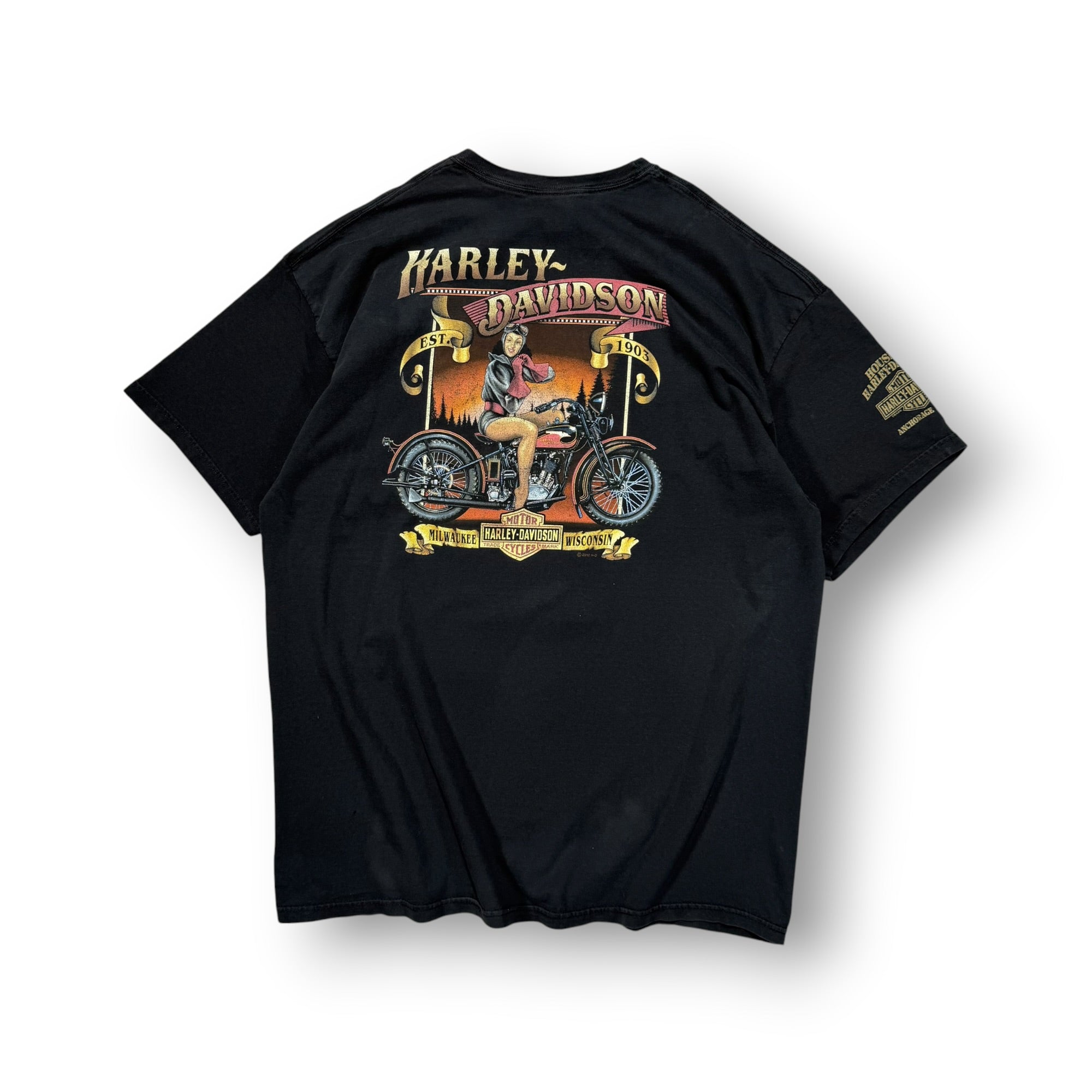 Harley Davidson T-shirt 2XL