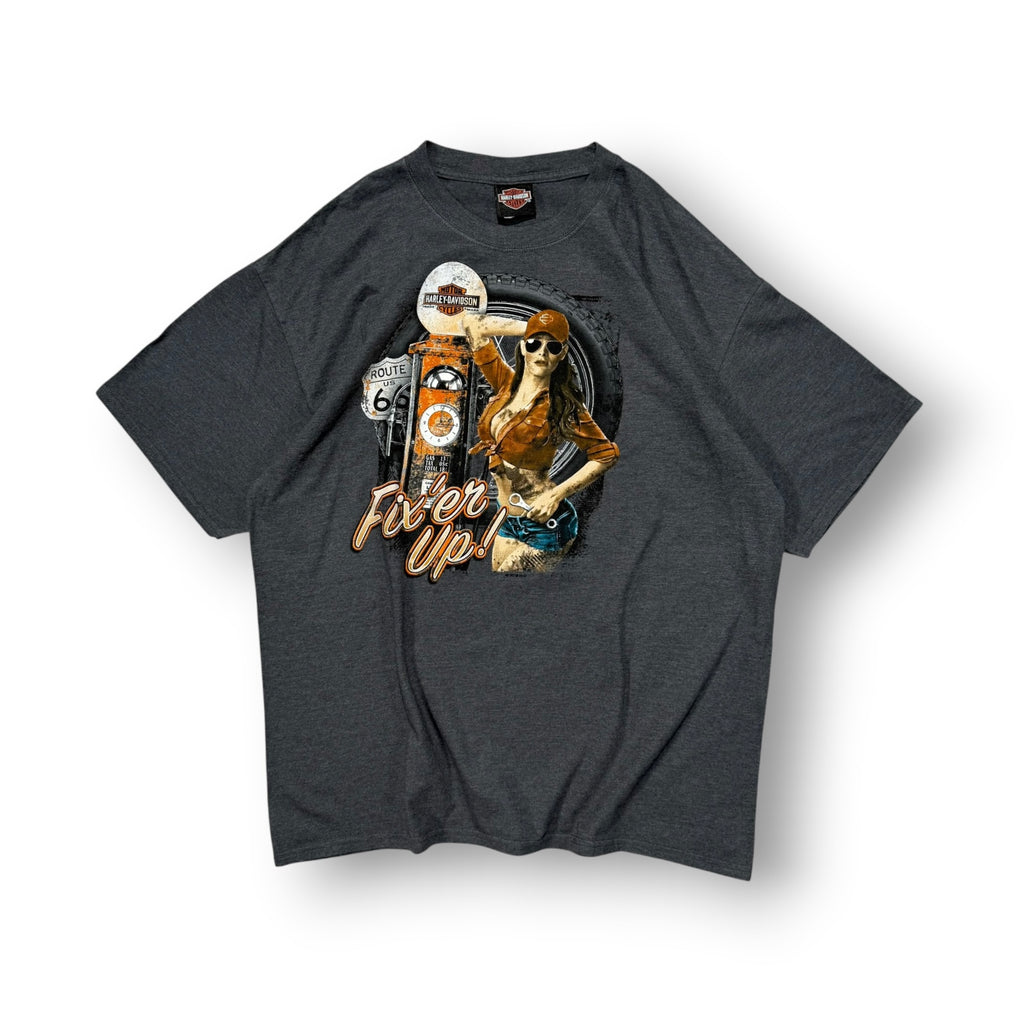Harley Davidson T-shirt XL