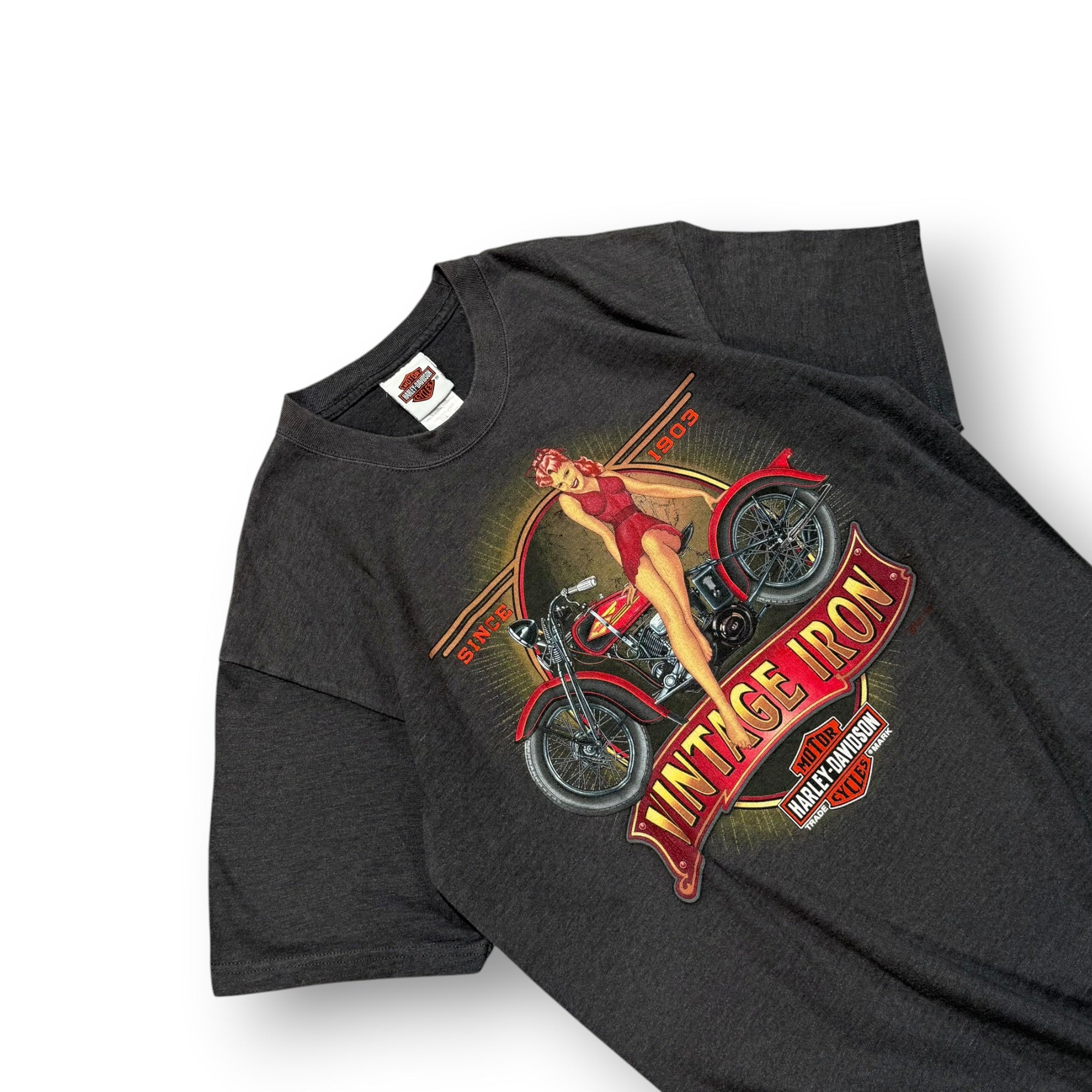 Harley Davidson T-shirt Large