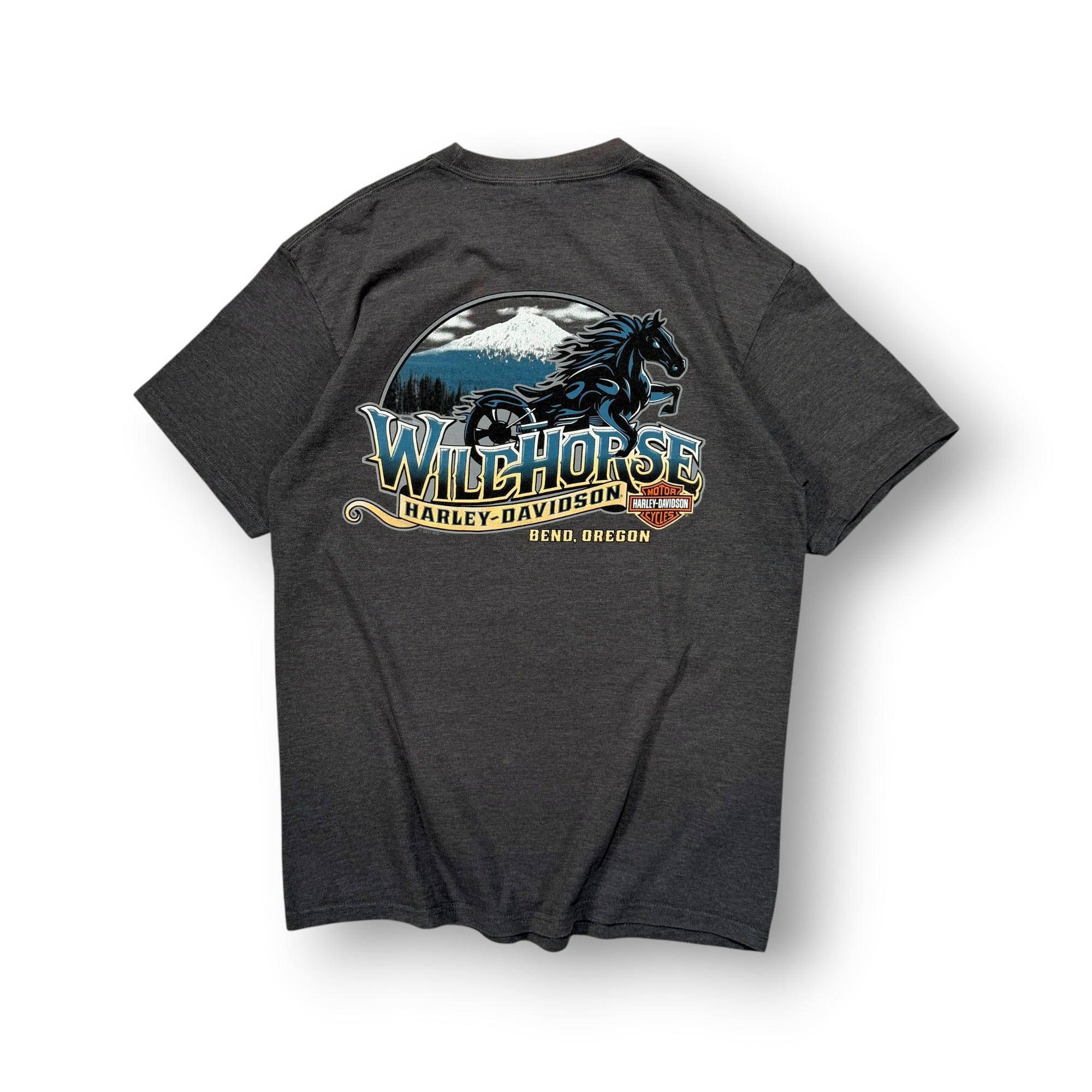Harley Davidson T-shirt Large