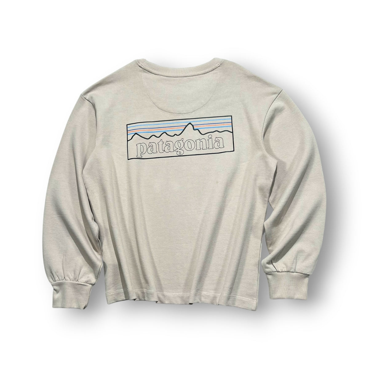 Patagonia Sweatshirt Medium