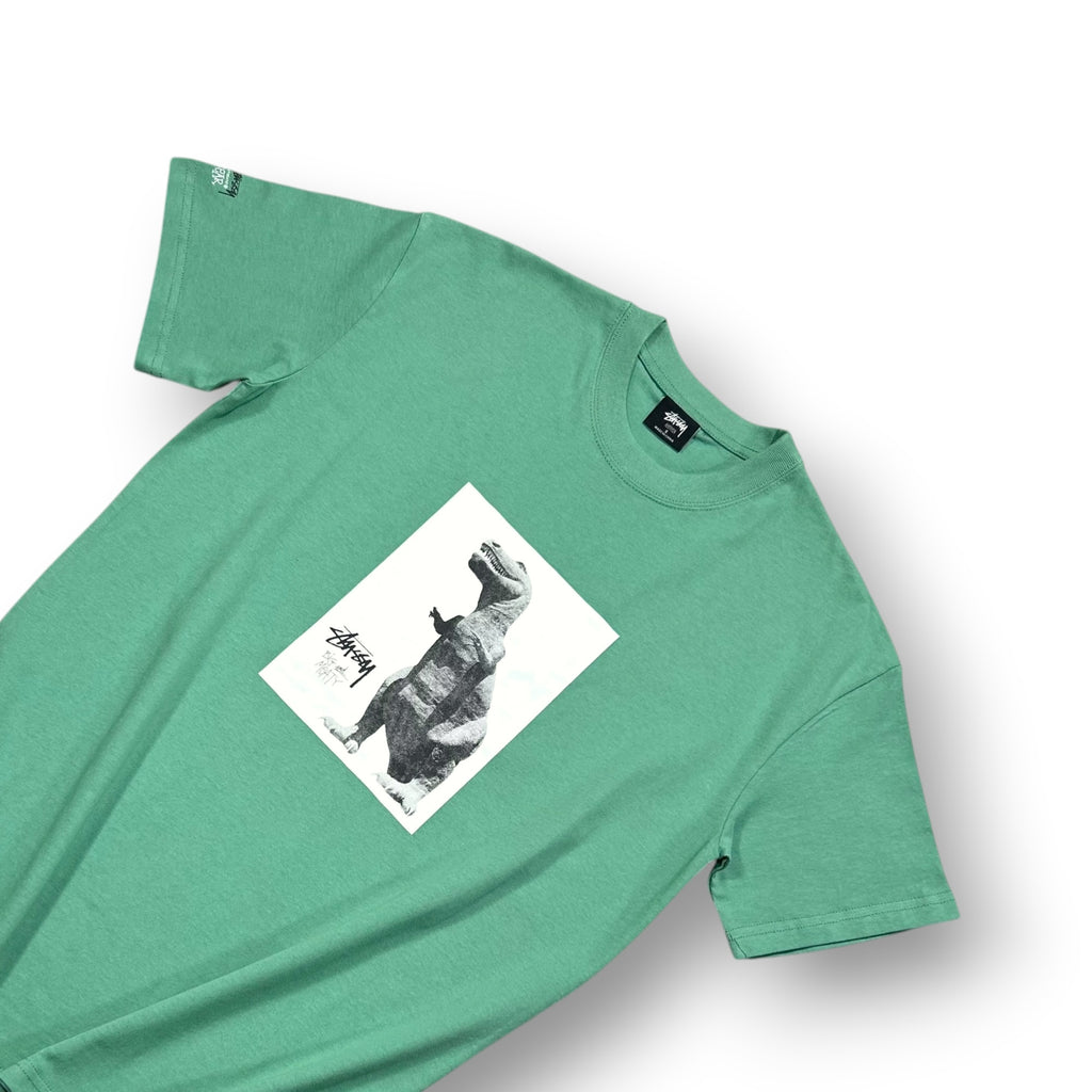 Stussy Big and Meaty T-shirt