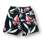 Stussy Shorts 26