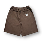Stussy Shorts Brown