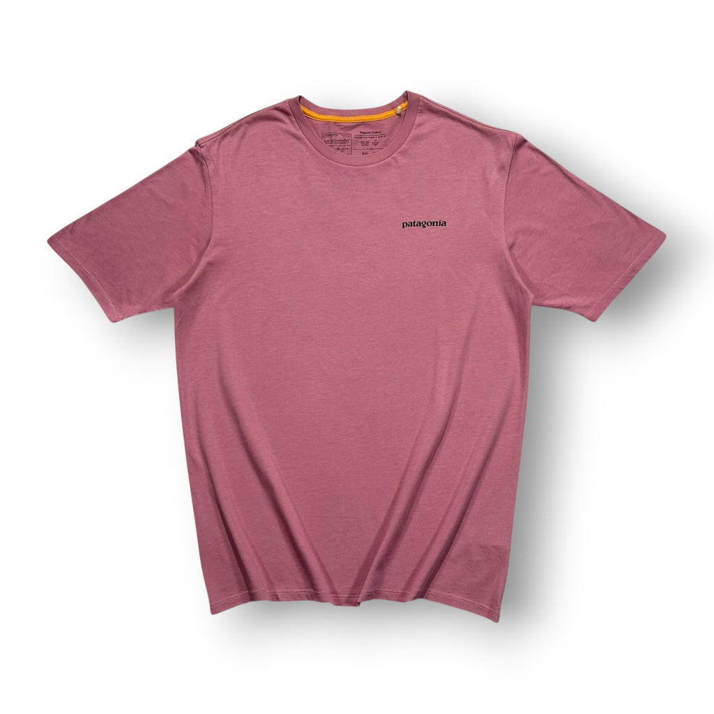 Patagonia T-shirt Small