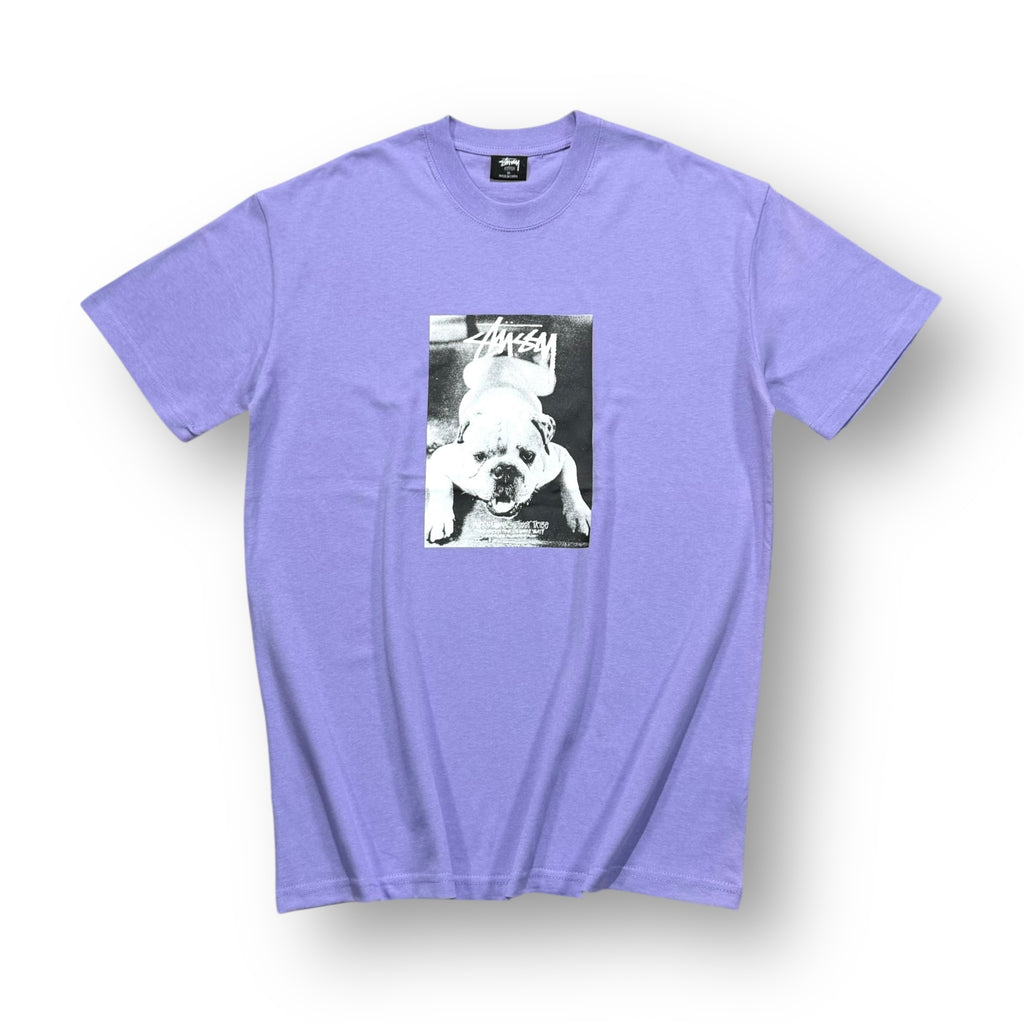 Stussy Bulldog T-shirt