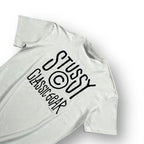 Stussy T-shirt Medium