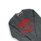 Champion Sweatshirt Medium